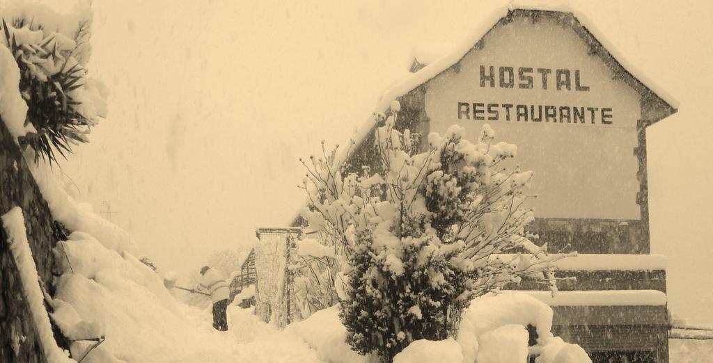 Hostal Panart 别尔萨 外观 照片